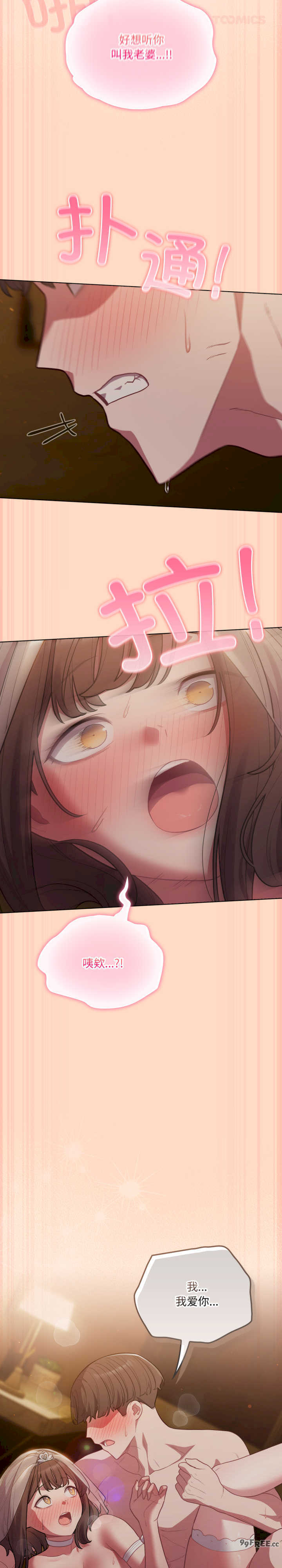 猫猫牵红线/喵来的恋爱