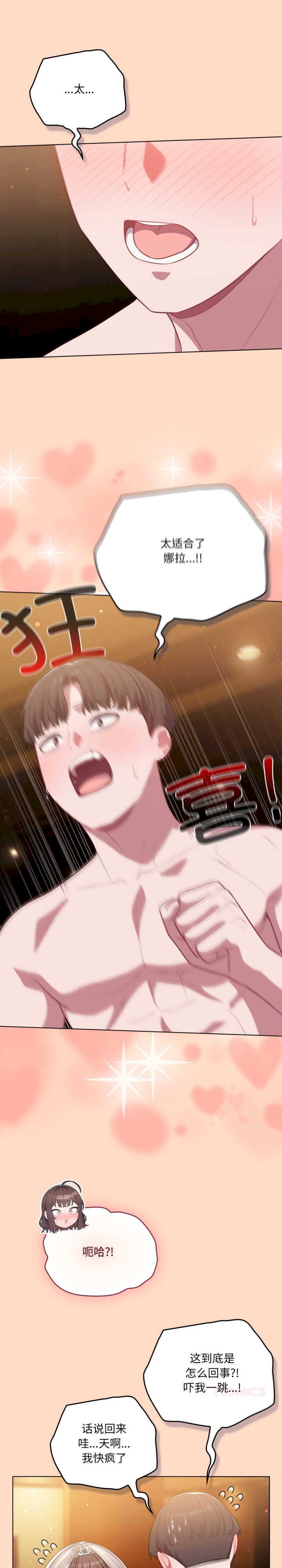 猫猫牵红线/喵来的恋爱