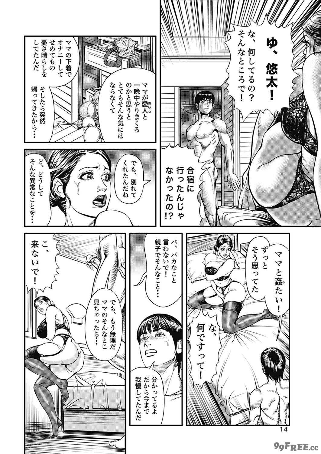 [セニョール大悦] 巨乳熟母のアブない快感 [DL版]