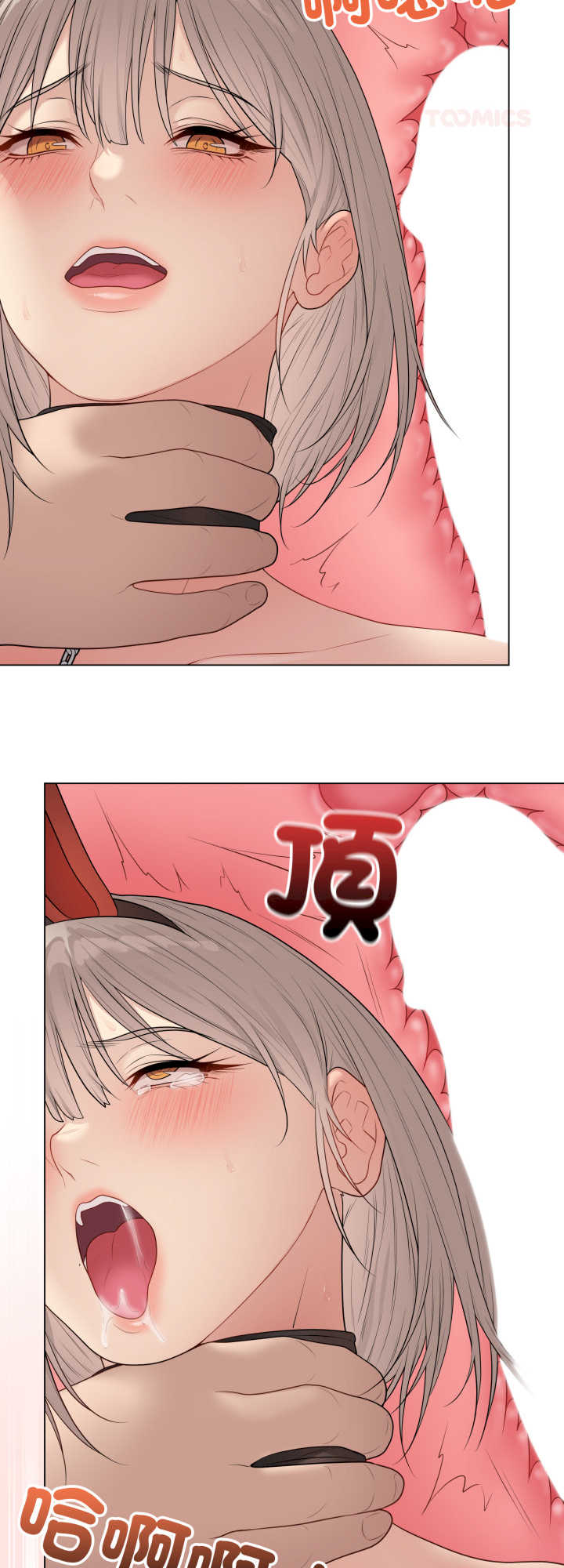 最后的冲刺/冲刺重考班