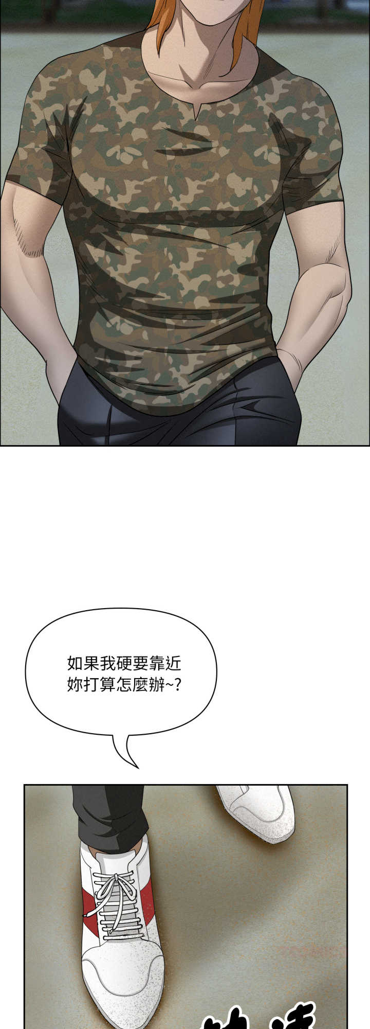 贵妇的专属保镖