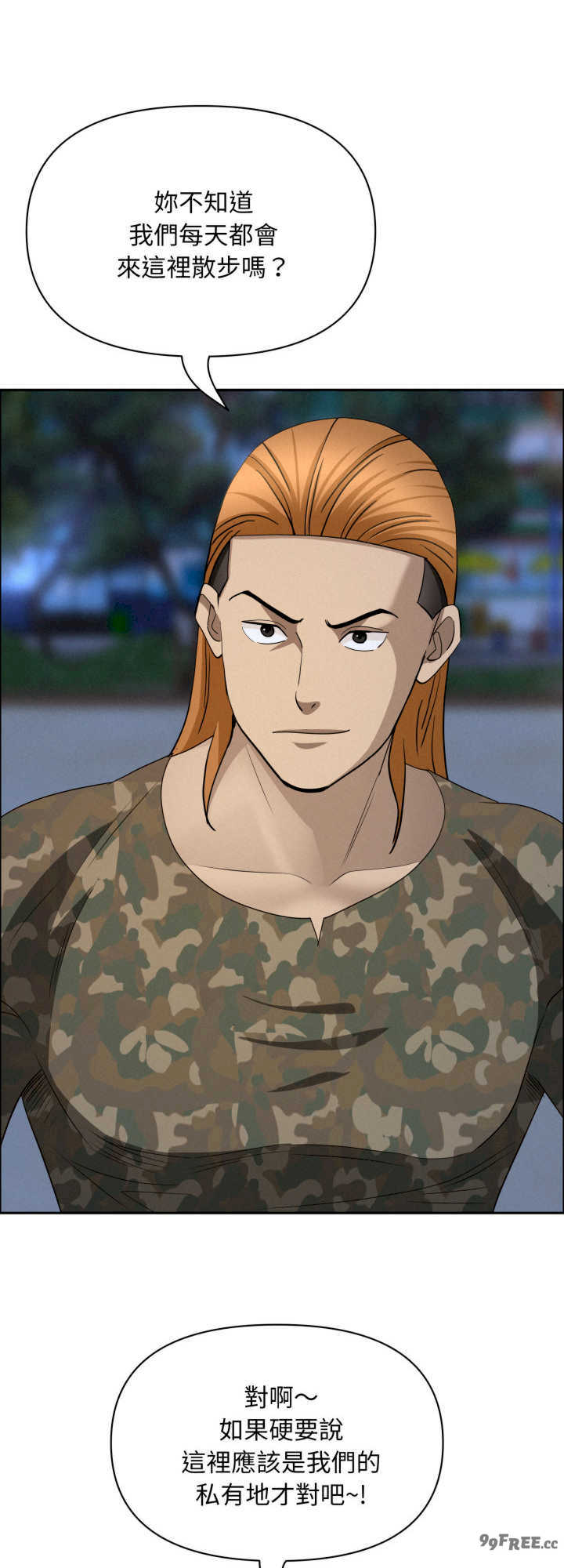 贵妇的专属保镖