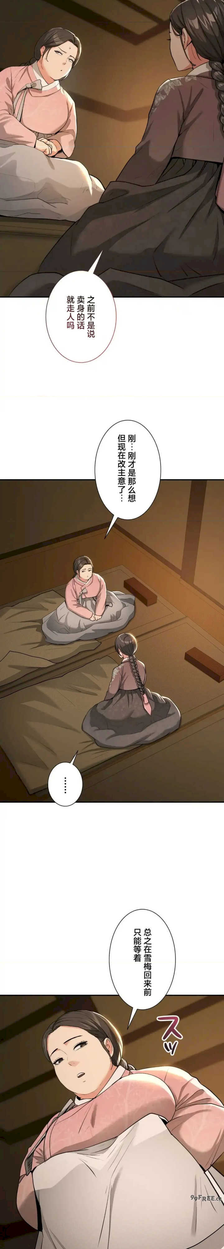 酒幕里的莲伊～卖春的女人们