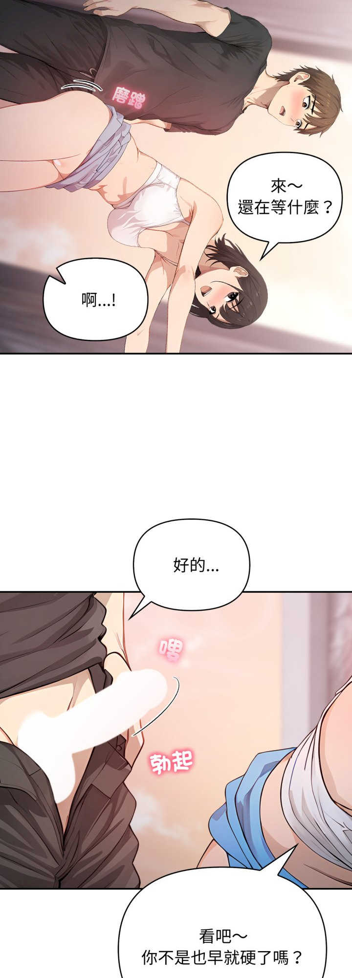 亲切的邻居太太们