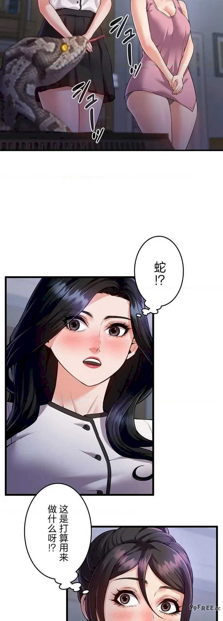 隐秘良妻修行