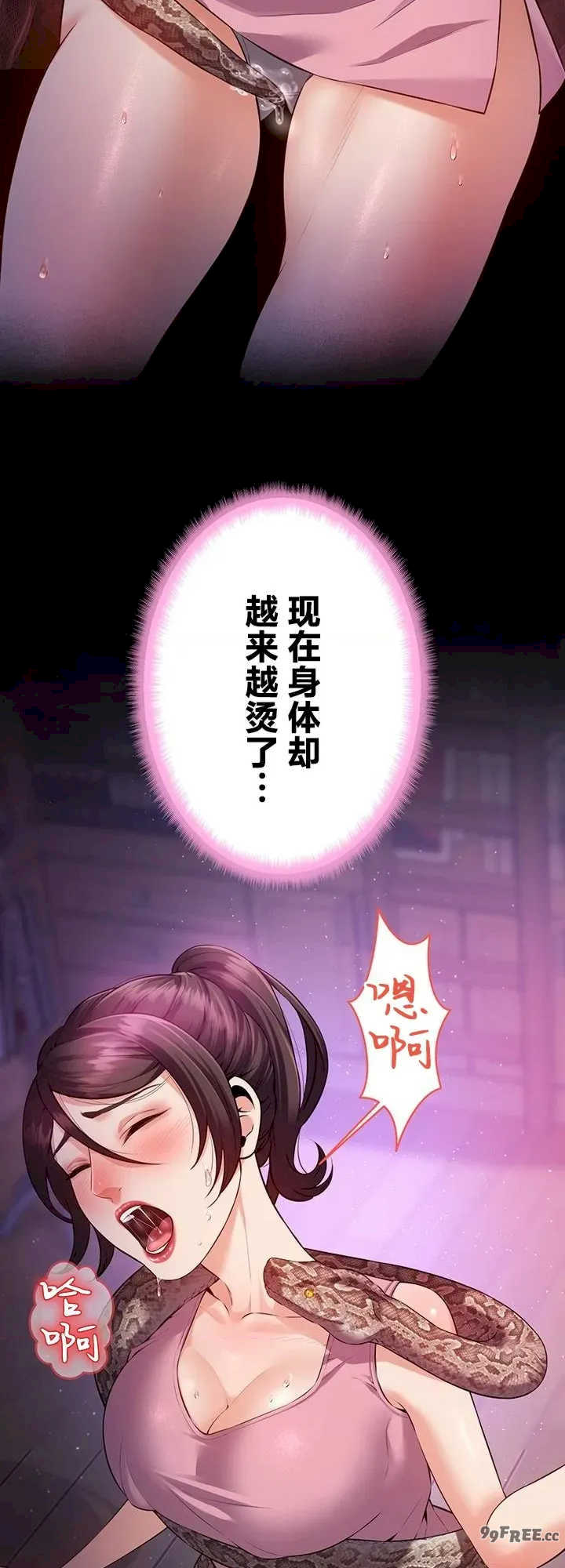隐秘良妻修行