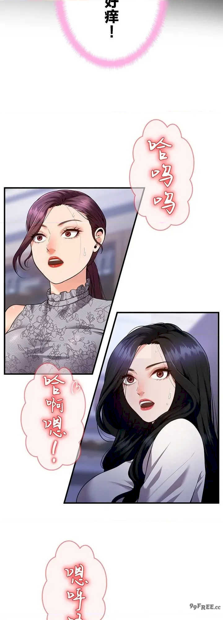 隐秘良妻修行